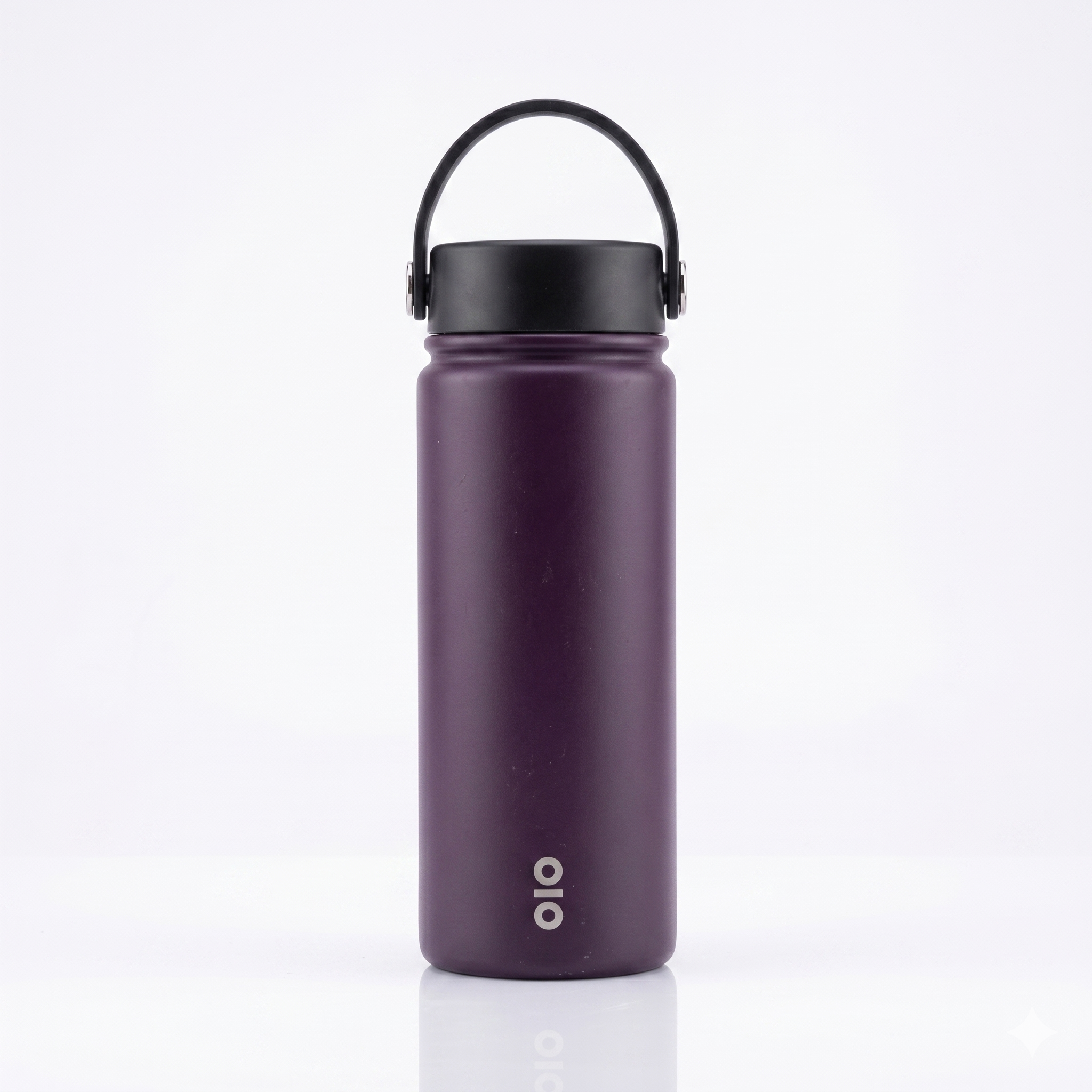 Brio Bottle, specifically a vacuum-insulated stainless steel water bottle (Purple)